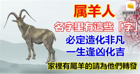 屬羊的名字|屬羊寶寶取名大全